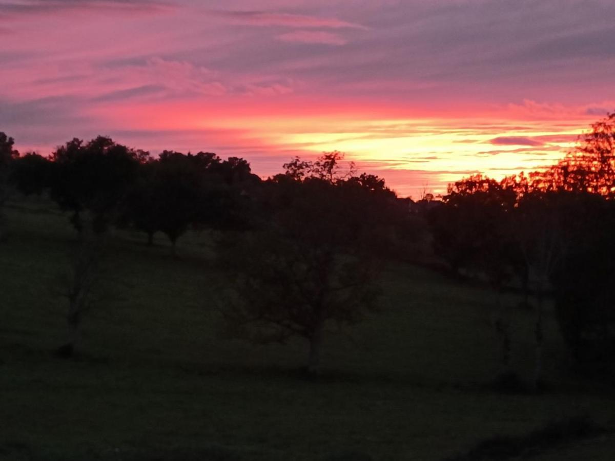 Chez Christy Chemin Des Dinots Bed & Breakfast Saint-Bonnet-de-Four Bagian luar foto